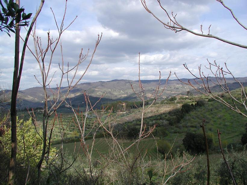 Agriturismo Podere La Casa Leilighet Panzano in Chianti Eksteriør bilde
